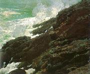 Winslow Homer High Cliff, Coast of Maine China oil painting reproduction
